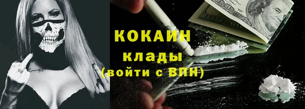 прущие грибы Пролетарск