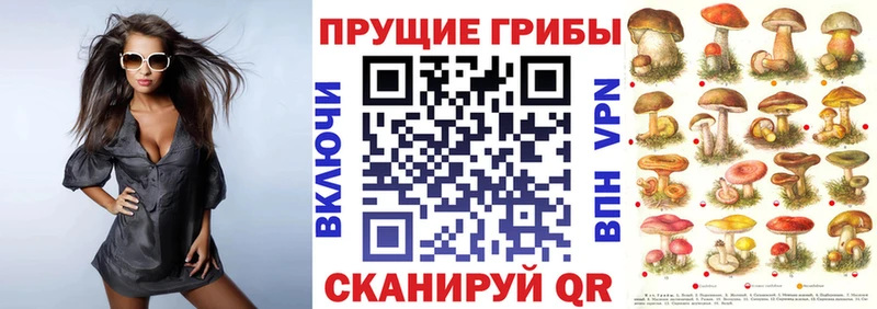Купить Чусовой Галлюциногенные грибы Magic Shrooms